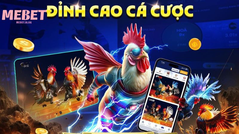 Các hình thức cá cược gà cựa sắt Mebet phổ biến nhất