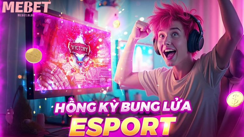 Thông tin cơ bản về nhà cái Mebet