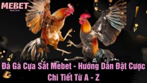 Đá gà cựa sắt Mebet - Hướng dẫn đặt cược chi tiết từ A - Z