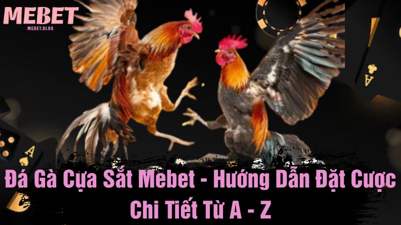 Đá gà cựa sắt Mebet - Hướng dẫn đặt cược chi tiết từ A - Z