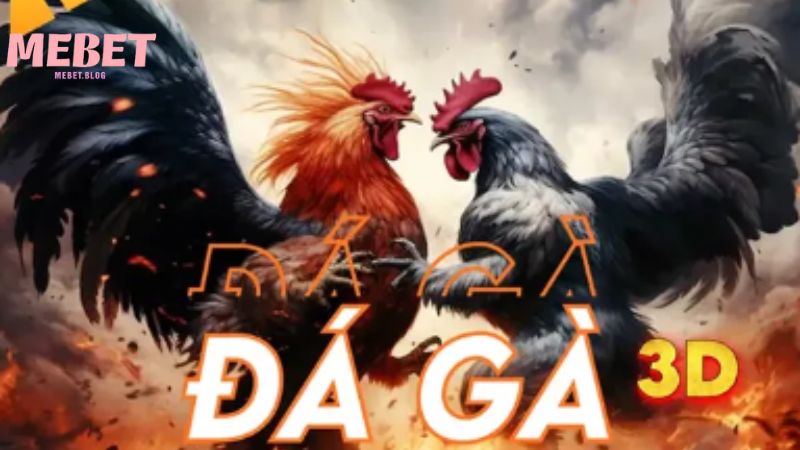 Tìm hiểu tổng quan về đá gà cựa sắt Mebet
